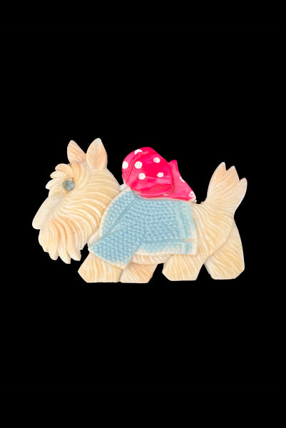 Vertical front view of 1950s vintage cream celluloid plastic red and pale blue painted Scottie dog brooch with rhinestone eye.