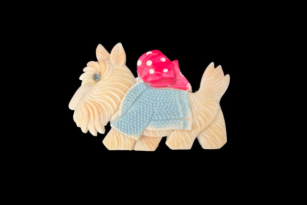 Horizontal front view of 1950s vintage cream celluloid plastic red and pale blue painted Scottie dog brooch with rhinestone eye.