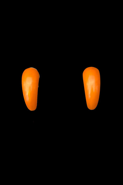 Vertical front view of 1930s vintage butterscotch French Bakelite half hoop clip-on earrings.