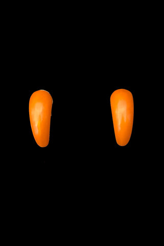 Vertical front view of 1930s vintage butterscotch French Bakelite half hoop clip-on earrings.